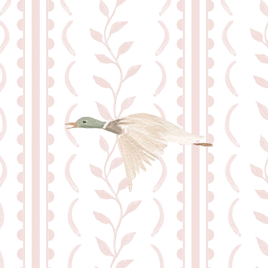 Londres Complementario Patos