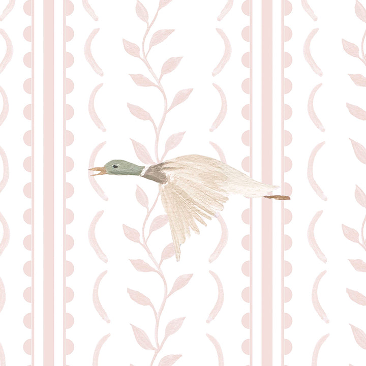 Londres Complementario Patos