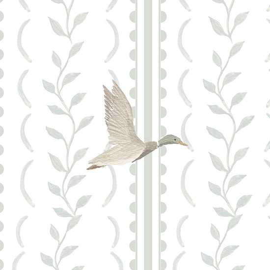 Londres Complementario Patos